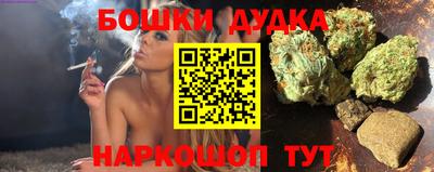 стафф Нальчик