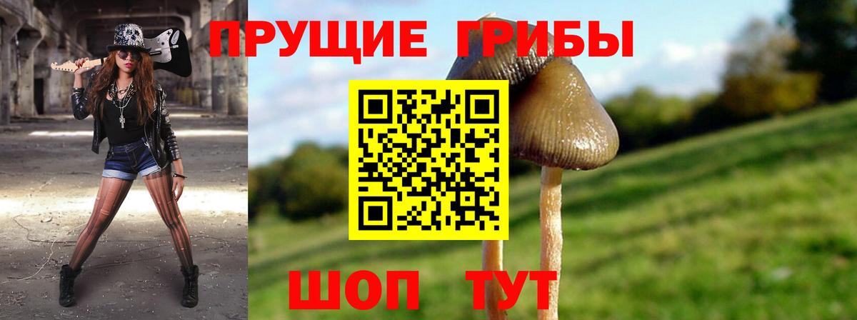 Псилоцибиновые грибы MAGIC MUSHROOMS  Галлюциногенные грибы ЛСД  Татарск  Вход с VPN 